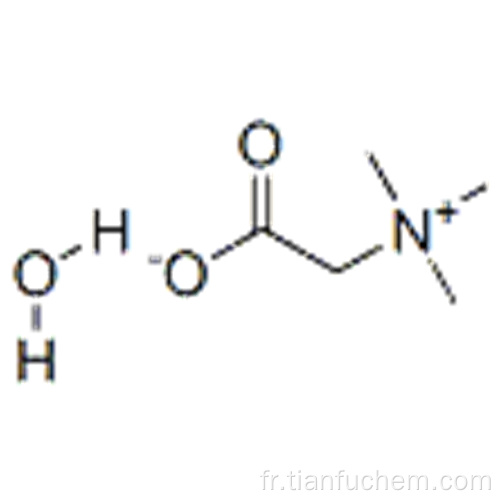 Bétaïne monohydratée CAS 590-47-6